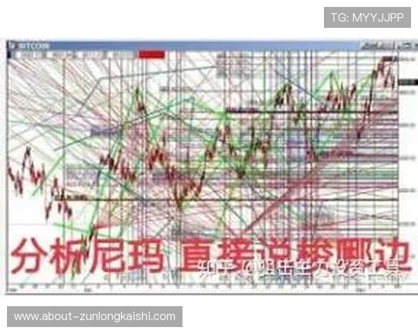 探讨凯时娱乐市场分析中的风险与机会并存